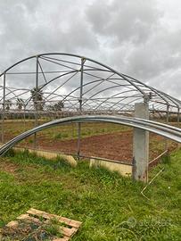 Capannone serra tunnel