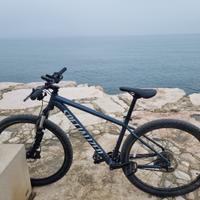 MTB Specialized 29”