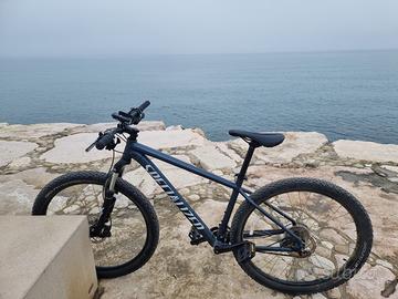 MTB Specialized 29”