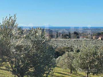Terreno Agricolo Massa Marittima