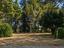 Immagine 11
