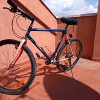 MOUNTAIN BIKE 26"