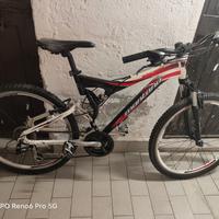 MTB Doppio ammortizzatori ruote 26