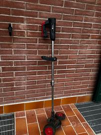 TAGLIAERBA E DECESPUGLIATORE A BATTERIA