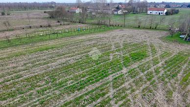 TER. AGRICOLO A MIRANO