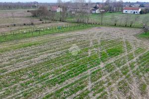 TER. AGRICOLO A MIRANO