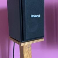 Roland CM-220 piu stand