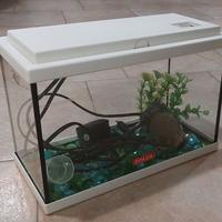 acquario 12 litri + accessori 