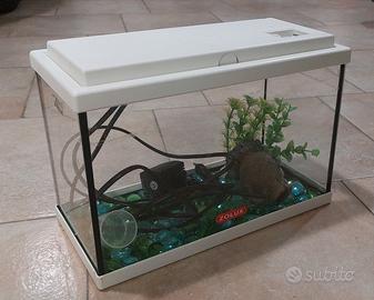 acquario 12 litri + accessori 