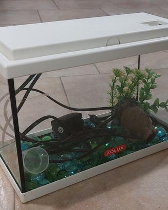 acquario 12 litri + accessori 