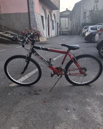 Bicicletta