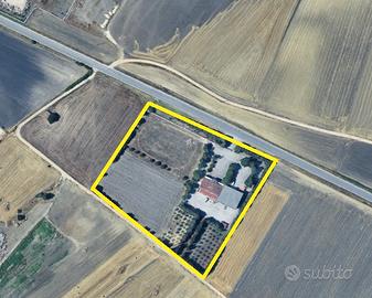 Terre e intera proprietà BA003400