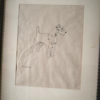 Disegno a china di Erna Pinner - Terrier