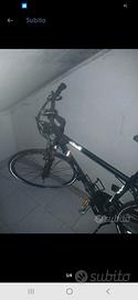 bici bike uomo