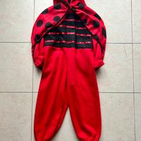 Carnevale vestito coccinella