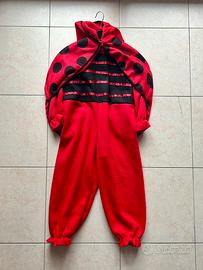Carnevale vestito coccinella