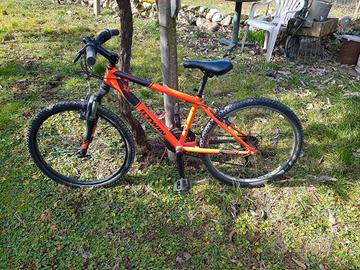 bici mtb 24 pollici bambino 