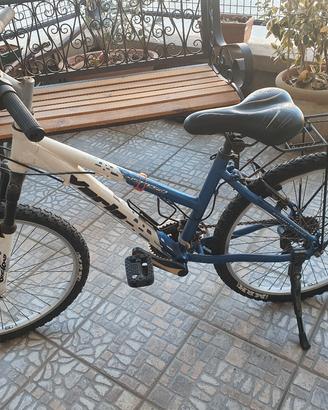 Bicicletta Donna 24