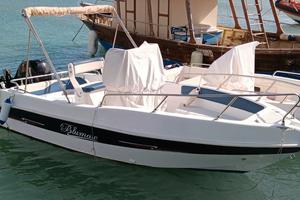 Blumax 19 open blu con Mercury pro 40 2022 500 ore