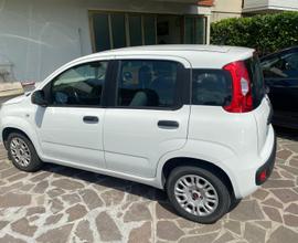 Fiat Panda 1.2 OK NEOPATENTATI
