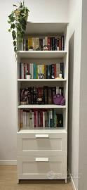 Libreria Ikea