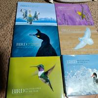 libri bird photographer of the year