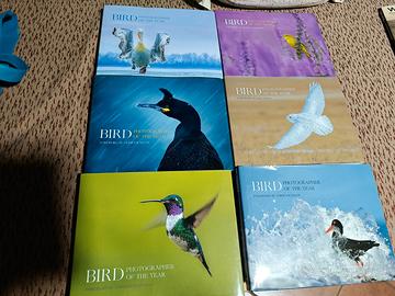 libri bird photographer of the year