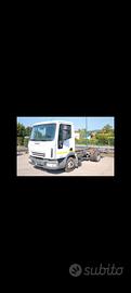 IVECO Eurocargo 65E16 a telaio passo 3105