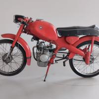 Motom Junior 48 SPORT