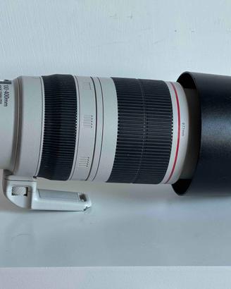 Canon 100-400 L IS II USM