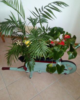 Carriola in legno