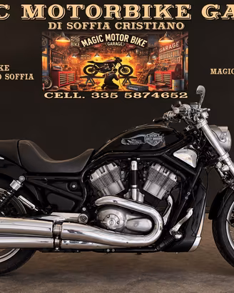 Harley Davidson v rod VRSCB accetto permute leggi