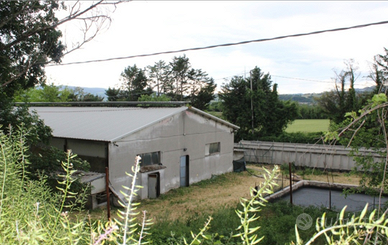 Capannoni agricoli e terreno