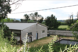 Capannoni agricoli e terreno