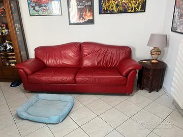 Divano in pelle