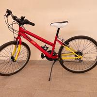Bici 24’