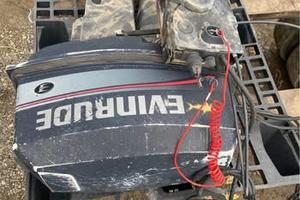 Evinrude 25