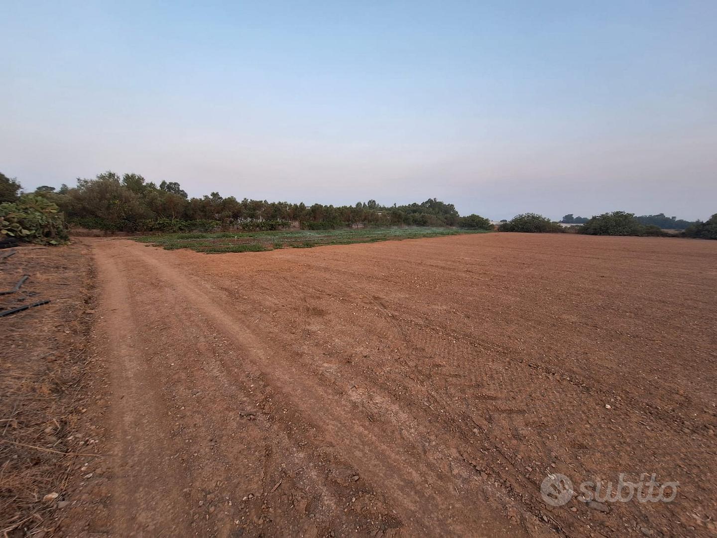Terreno agricolo - Vista 2