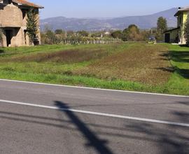 Terreno edificabile e agricolo