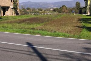 Terreno edificabile e agricolo