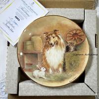 Piatto cane e gatto Royal Worcester. Con scatola