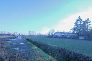 TERRENO A CALVENZANO