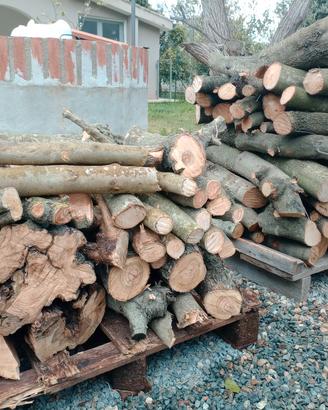 legna da ardere 