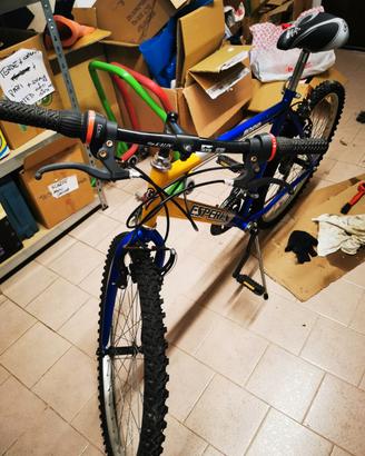 Bicicletta esperia 8300 