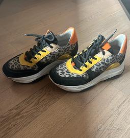 Sneakers Steve Madden