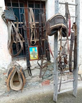 Finimenti da esposizione