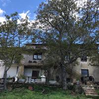 Azienda agricola 37ha