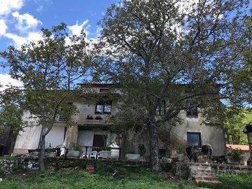 Azienda agricola 37ha