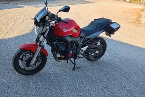 Yamaha fz6 
