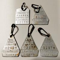 Medaglietta imposta cani  Comune di Padova